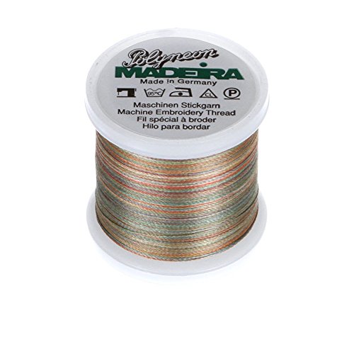 MADEIRA 9845 – – 1604 2-lagig Polyneon Polyester Stickgarn, 40 wt/135D 440 YD, Bunte Chamäleon von MADEIRA