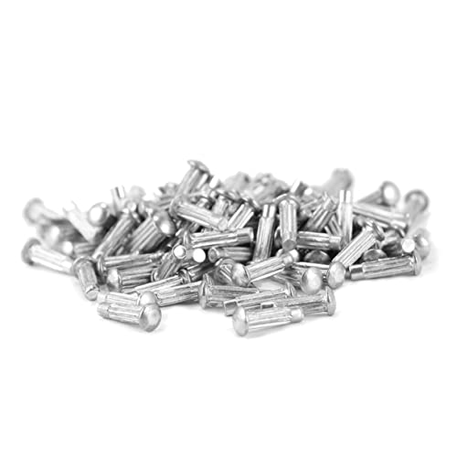MAGICLULU 1 Satz Knurled Solid Rivets Halbrunde Nieten Für Beschilderung Silber Robuste Rostfreie Konstruktion Einfache Installation Verschiedene Für Vielseitige Anwendungen 1500 Stück von MAGICLULU