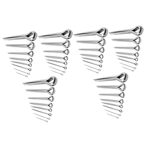MAGICLULU 220 Stück Edelstahlstift -Set Reparatur Frühling Bausatz Zubehör Kfz-Ersatzteile Clips Rostfreier Stahl Silber MAGICLULU 220 Stück Edelstahlstift -Set Reparatur Frühling Bausatz Zubehör Kfz-Ersatzteile Clips Rostfreier Stahl Silber von MAGICLULU