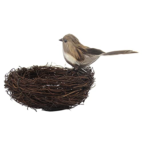 MAGICLULU 3 Stück Simuliertes Vogelnest Set mit Eiern Vogel Nest aus Rattan und Vogelmodell für Kinderzimmer DIY Mikro Landschaft Fotorequisiten Wohn und Bürodekoration von MAGICLULU