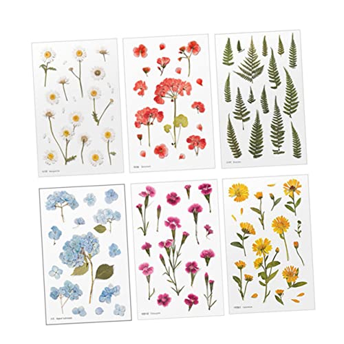 MAGICLULU 6 Blätter Imitation Blumen Aufkleber Laptop-aufkleber Vintage Washi-papier-aufkleber Vintage-aufkleber Scrapbook-aufkleber Süßigkeiten Box 3d Das Haustier Jahrgang MAGICLULU 6 Blätter Imitation Blumen Aufkleber Laptop-aufkleber Vintage Washi-papier-aufkleber Vintage-aufkleber Scrapbook-aufkleber Süßigkeiten Box 3d Das Haustier Jahrgang von MAGICLULU