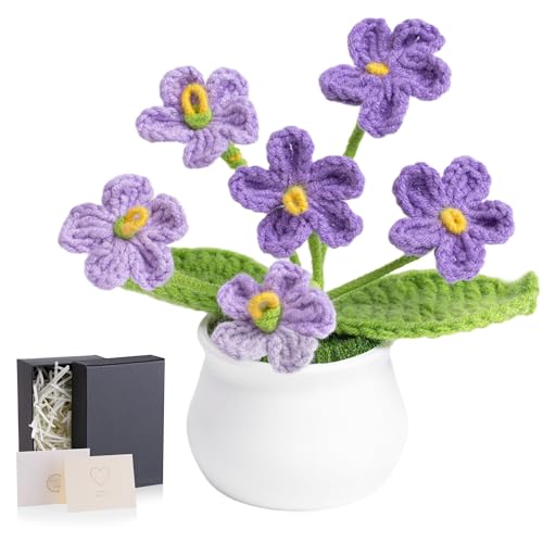 MAIBAOTA Farbverlauf, lila Vergissmeinnicht Häkelblumen, gestrickt, handgefertigt, Topfpflanzen, Blumenstrauß, künstliche Blumen, Heimbüro, Schreibtischdekoration, Dekorationen, Geburtstag, Hochzeit MAIBAOTA Farbverlauf, lila Vergissmeinnicht Häkelblumen, gestrickt, handgefertigt, Topfpflanzen, Blumenstrauß, künstliche Blumen, Heimbüro, Schreibtischdekoration, Dekorationen, Geburtstag, Hochzeit von MAIBAOTA