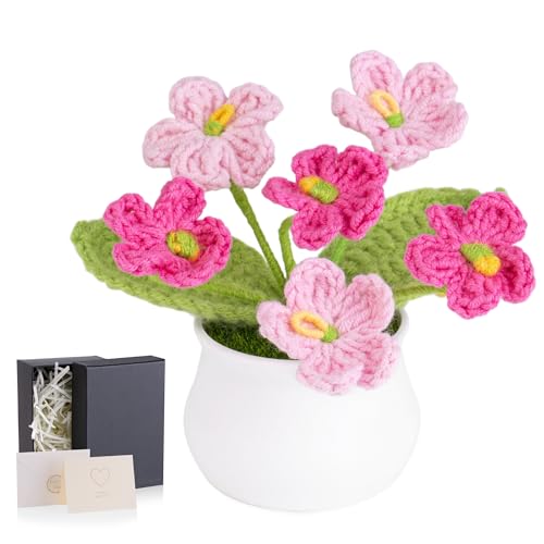 MAIBAOTA Farbverlauf, rosa Vergissmeinnicht Häkelblumen, gestrickt, handgefertigt, Topfpflanzen, Blumenstrauß, künstliche Blumen, Heimbüro, Schreibtischdekoration, Dekorationen, Geburtstag, Hochzeit MAIBAOTA Farbverlauf, rosa Vergissmeinnicht Häkelblumen, gestrickt, handgefertigt, Topfpflanzen, Blumenstrauß, künstliche Blumen, Heimbüro, Schreibtischdekoration, Dekorationen, Geburtstag, Hochzeit von MAIBAOTA