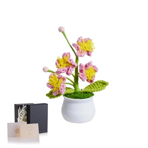 MAIBAOTA Häkelblumen, Kirschblüten, gestrickte Blumen, handgefertigte Topfpflanzen, künstlicher Blumenstrauß, Büro, Schreibtisch, Dekoration, Dekorationen, Geschenke für Lehrerinnen MAIBAOTA Häkelblumen, Kirschblüten, gestrickte Blumen, handgefertigte Topfpflanzen, künstlicher Blumenstrauß, Büro, Schreibtisch, Dekoration, Dekorationen, Geschenke für Lehrerinnen von MAIBAOTA