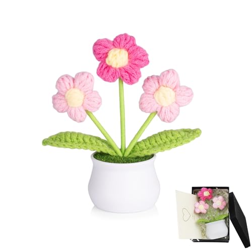 MAIBAOTA Häkelblumen, rosa Puff, gestrickte Blumen, handgefertigte Topfpflanzen, künstlicher Blumenstrauß, Büro, Schreibtisch, Dekoration, Dekorationen, Geschenke für Lehrer, Frauen MAIBAOTA Häkelblumen, rosa Puff, gestrickte Blumen, handgefertigte Topfpflanzen, künstlicher Blumenstrauß, Büro, Schreibtisch, Dekoration, Dekorationen, Geschenke für Lehrer, Frauen von MAIBAOTA
