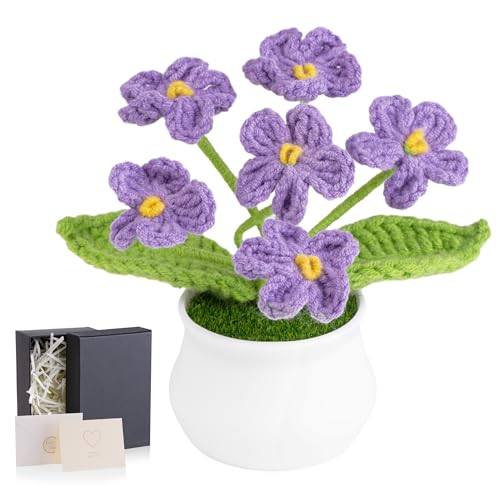 MAIBAOTA Lila Vergissmeinnicht Häkelblumen, gestrickt, handgefertigt, Topfpflanzen, Blumenstrauß, künstliche Blumen, Heimbüro, Schreibtischdekoration, Dekorationen, Geburtstag, Hochzeit, Geschenke für MAIBAOTA Lila Vergissmeinnicht Häkelblumen, gestrickt, handgefertigt, Topfpflanzen, Blumenstrauß, künstliche Blumen, Heimbüro, Schreibtischdekoration, Dekorationen, Geburtstag, Hochzeit, Geschenke für von MAIBAOTA