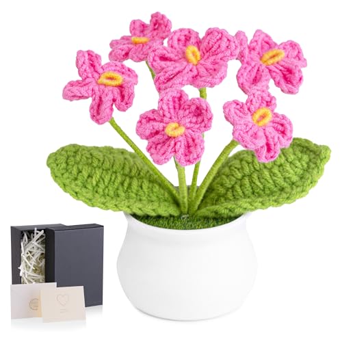 MAIBAOTA Rosa Vergissmeinnicht Häkelblumen, gestrickt, handgefertigt, Topfpflanzen, Blumenstrauß, künstliche Blumen, Heimbüro, Schreibtischdekoration, Dekorationen, Geburtstag, Hochzeit, Geschenke für MAIBAOTA Rosa Vergissmeinnicht Häkelblumen, gestrickt, handgefertigt, Topfpflanzen, Blumenstrauß, künstliche Blumen, Heimbüro, Schreibtischdekoration, Dekorationen, Geburtstag, Hochzeit, Geschenke für von MAIBAOTA