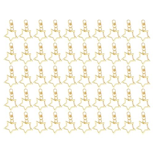 Großpackung mit 50 Sternfeder-Schlüsselhalter-Clips mit Ketten, tragbar für Schlüsselanhänger und Schmuckherstellung, Bastelbedarf Großpackung mit 50 Sternfeder-Schlüsselhalter-Clips mit Ketten, tragbar für Schlüsselanhänger und Schmuckherstellung, Bastelbedarf von MALSSE