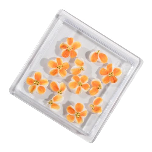 MALSSE 12 bunte Rosen-Kamelien-Nägel, Kunstornamente, Maniküre, Nageldekorationen für unverwechselbare und trendige Nagelstile MALSSE 12 bunte Rosen-Kamelien-Nägel, Kunstornamente, Maniküre, Nageldekorationen für unverwechselbare und trendige Nagelstile von MALSSE