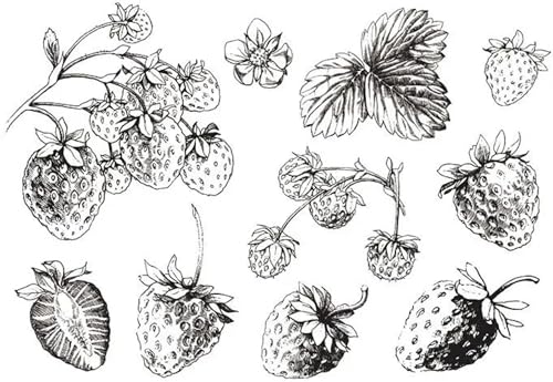Stempel zum Basteln, 11 x 16 cm, transparenter Stempel, Erdbeere, Sammelalbum, Kartenalbum, Papierbasteln Stempel zum Basteln, 11 x 16 cm, transparenter Stempel, Erdbeere, Sammelalbum, Kartenalbum, Papierbasteln von MANGOUSONG