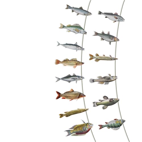 Retirement Fishing Themed Party Supplies Fish Shape Paper Hanging Decoration For Fishing Theme Birthday Party Decoration Theme Supplies von MARCBUSE