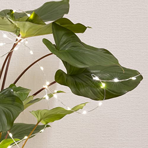 MARELIDA LED Draht Lichtbündel - Pflanzenbeleuchtung - warmweiße LED - Innen und außen - silberner biegsamer Draht (100cm - 160 LED) von MARELIDA