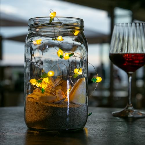 MARELIDA LED Drahtlichterkette Ananas 20 Mini Ananas gelb grün biegsamer Draht für Innen Deko Girlande Batteriebetrieben (Ananas) von MARELIDA