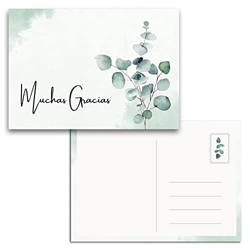 MAVANTO Dankeskarten Hochzeit Eukalyptus - DIN A6 Postkarten Set als Danksagungskarten für feierliche Anlässe (Muchas Gracias, 20x Stück) von MAVANTO