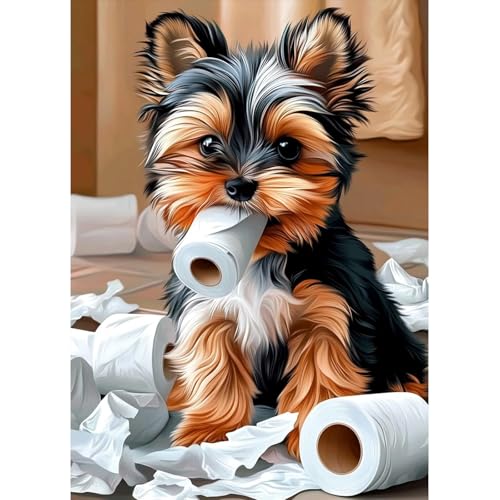 MAXBYE Diamond Painting Erwachsene, 5D Diamond Art Tier Komplett Set DIY Yorkshire Terrier Diamant Bilder Anfänger, Runde Diamant Bilder Kristall Kreuzstich Für Heimdekoration Geschenk 30x40cm MAXBYE Diamond Painting Erwachsene, 5D Diamond Art Tier Komplett Set DIY Yorkshire Terrier Diamant Bilder Anfänger, Runde Diamant Bilder Kristall Kreuzstich Für Heimdekoration Geschenk 30x40cm von MAXBYE