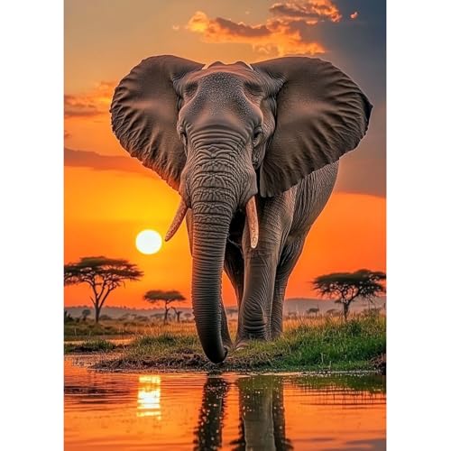 MAXBYE Elefant Diamond Painting Art Kits, 5D Diamond Kunst Komplett Set für Erwachsene Anfänger, DIY Gem Kunsthandwerk Diamant Bilder Kristall Kreuzstich Home Wall Decor Kreative Geschenke 30x40cm von MAXBYE