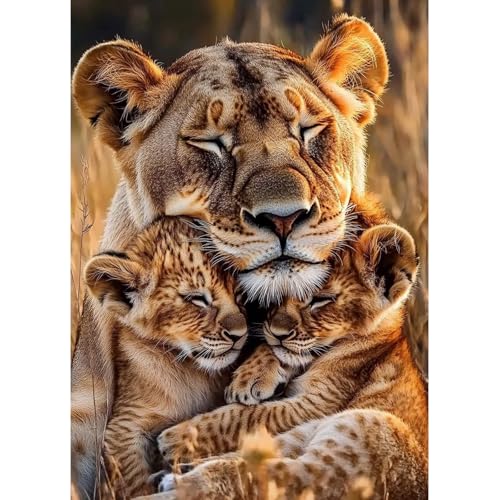 MAXBYE Löwen Diamond Painting Art Kits, 5D Diamond Kunst Komplett Set DIY Gem Kunsthandwerk für Erwachsene Anfänger, Runde Diamant Bilder Kristall Kreuzstich Home Wall Decor Geschenke 30x40cm von MAXBYE