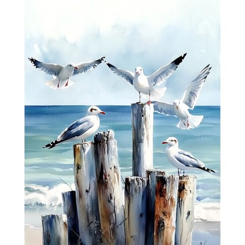 MAXBYE Möwen Malen Nach Zahlen Erwachsene, Paint by Numbers DIY Handgemalt Ölgemälde Kit Leinwand Acrylfarben Painting für Home Decor Geburtstag Geschenk, Ohne Rahmen 40x50cm von MAXBYE
