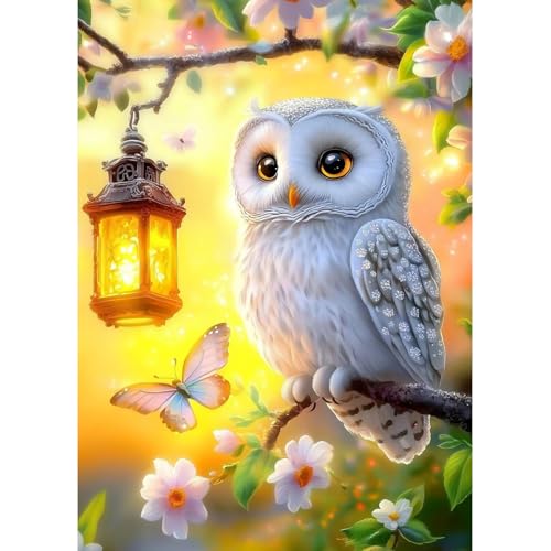 MAXBYE Süße Eule Diamond Painting Art Kits, 5D Diamond Kunst Komplett Set DIY Gem Kunsthandwerk für Erwachsene Anfänger, Diamant Bilder Kristall Kreuzstich Geschenk Home Wall Decor 30x40cm MAXBYE Süße Eule Diamond Painting Art Kits, 5D Diamond Kunst Komplett Set DIY Gem Kunsthandwerk für Erwachsene Anfänger, Diamant Bilder Kristall Kreuzstich Geschenk Home Wall Decor 30x40cm von MAXBYE