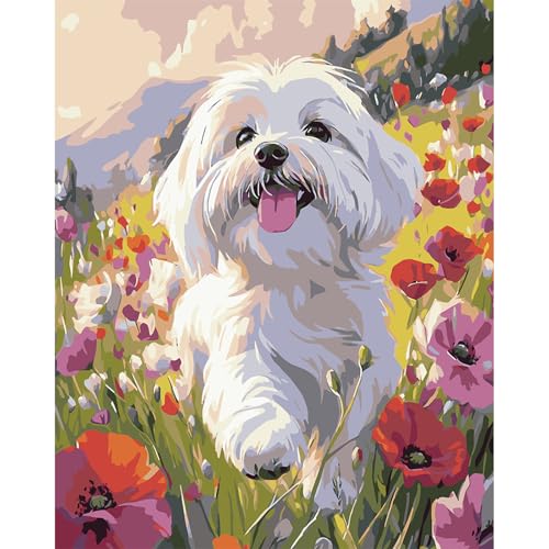 MAXBYE Süßer Welpe Malen Nach Zahlen Erwachsene, Mohnblumen Paint by Numbers DIY Handgemalt Ölgemälde Kit Leinwand Acrylfarben Painting für Home Decor Geburtstag Geschenk, Ohne Rahmen 40x50cm von MAXBYE