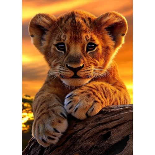 MAXBYE Tiger Diamond Painting Art Kits, 5D Diamond Kunst Komplett Set DIY Gem Kunsthandwerk für Erwachsene Anfänger, Runde Diamant Bilder Kristall Kreuzstich Home Wall Decor Geschenke 30x40cm von MAXBYE
