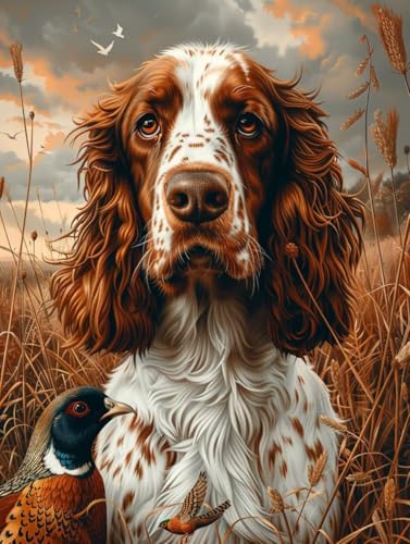 5D Diamond Painting Erwachsene Hund Diamant Painting Bilder, DIY Tier Mosaikherstellung Diamant Malerei Set, Vollbohrer Diamanten Malerei Kreuzstich Set als Deko Wohnzimmer Geschenke 40X50cm 4-6066 von MAYINGOU