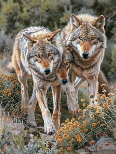 5D Diamond Painting Erwachsene Wolf Diamant Painting Bilder, DIY Tier Mosaikherstellung Diamant Malerei Set, Vollbohrer Diamanten Malerei Kreuzstich Set als Deko Wohnzimmer Geschenke 40X50cm 3-8073 von MAYINGOU