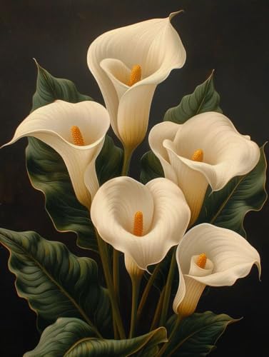 Blume Malen Nach Zahlen Erwachsene, Pflanzen Malen Nach Zahlen, DIY Handgemalt Ölgemälde Kit mit Pinseln Acrylfarbe, Paint by Numbers Adult Bastelset Erwachsene, Geschenke für Frauen 80x110 cm B-1105 Blume Malen Nach Zahlen Erwachsene, Pflanzen Malen Nach Zahlen, DIY Handgemalt Ölgemälde Kit mit Pinseln Acrylfarbe, Paint by Numbers Adult Bastelset Erwachsene, Geschenke für Frauen 80x110 cm B-1105 von MAYINGOU