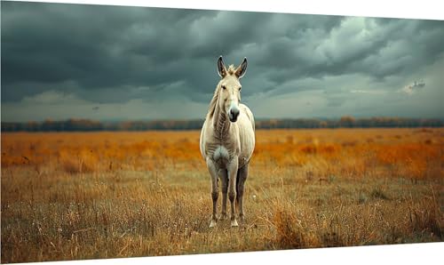Diamond Painting Erwachsene Groß XXL Horse, Diamant Painting Bilder Tier, 5D DIY Stickerei Cross Stickerei Bastelset Erwachsene, Full Drill Diamant Malerei für Deko Wohnzimmer Geschenke 40x85cm T-4447 von MAYINGOU
