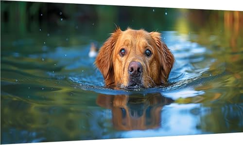 Diamond Painting Erwachsene Groß XXL Hund, Diamant Painting Bilder Tier, 5D DIY Stickerei Cross Stickerei Bastelset Erwachsene, Full Drill Diamant Malerei für Deko Wohnzimmer Geschenke 50x100cm N-1034 von MAYINGOU