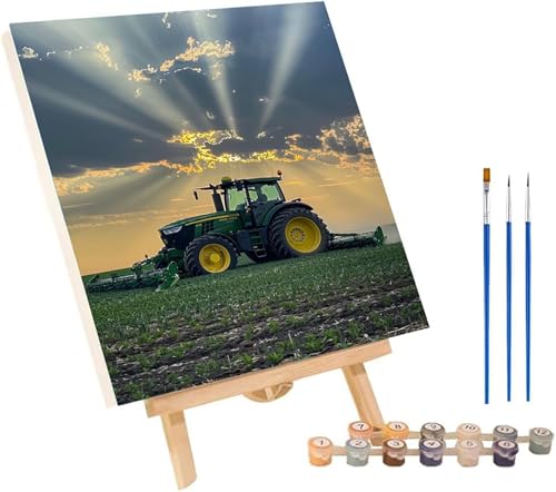 Malen Nach Zahlen Erwachsene Auto, Malen Nach Zahlen Wiese, DIY Handgemalt Ölgemälde Kit Mit 3 Pinseln und Acrylfarbe, Paint by Numbers Basteln Erwachsene, Deko Wohnzimmer Geschenke 50x65 cm L-9156 von MAYINGOU
