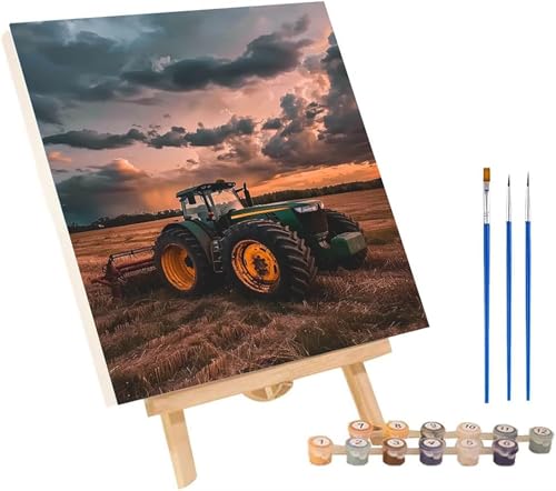 Malen Nach Zahlen Erwachsene Auto, Malen Nach Zahlen Wiese, DIY Handgemalt Ölgemälde Kit Mit 3 Pinseln und Acrylfarbe, Paint by Numbers Basteln Erwachsene, Deko Wohnzimmer Geschenke 60x80 cm 5-7893 von MAYINGOU
