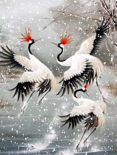 Vogel Malen Nach Zahlen Erwachsene, Schneeszene Malen Nach Zahlen, DIY Handgemalt Ölgemälde Kit mit Pinseln Acrylfarbe, Paint by Numbers Adult Bastelset Erwachsene, Geschenke 40x50 cm 5-6368 Vogel Malen Nach Zahlen Erwachsene, Schneeszene Malen Nach Zahlen, DIY Handgemalt Ölgemälde Kit mit Pinseln Acrylfarbe, Paint by Numbers Adult Bastelset Erwachsene, Geschenke 40x50 cm 5-6368 von MAYINGOU