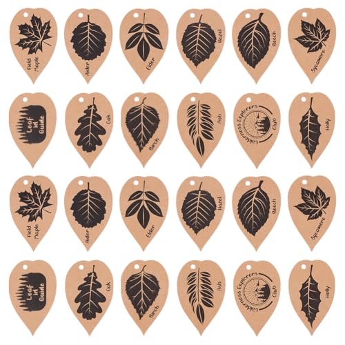 MAYJOYDIY 24 Stück Geschenkanhänger Mit Blättern 8×5cm Ahornblätter Muster Kraftpapieranhänger 1 Löchern Esche Birke Stechpalme Hängeetiketten Für Hochzeitsfeiern Geschenke Scrapbook Gläser (12 Stile) von MAYJOYDIY