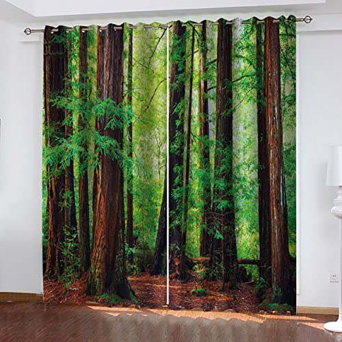 MAYNUO Verdunklungsvorhänge 3D Baum Natur Landschaft Gardinen Mit Ösen Blickdichte Vorhänge Für Schlafzimmer Wohnzimmer 200x160 cm Vorhang Kinderzimmer Junge, 2Er Set Gardinen Mit Ösen, Abdunkelnde MAYNUO Verdunklungsvorhänge 3D Baum Natur Landschaft Gardinen Mit Ösen Blickdichte Vorhänge Für Schlafzimmer Wohnzimmer 200x160 cm Vorhang Kinderzimmer Junge, 2Er Set Gardinen Mit Ösen, Abdunkelnde von MAYNUO