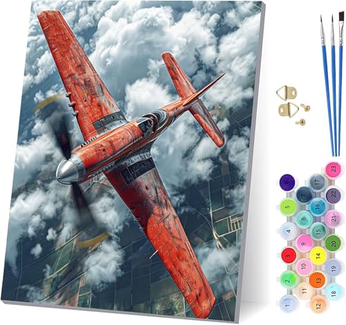 Flugzeug Malen Nach Zahlen Erwachsene Mit Rahmen, Malen Nach Zahlen Landschaft, DIY Set Erwachsene Mit 3 Pinseln und Acrylfarbe, Paint by Numbers für Deko Wohnzimmer und Wanddeko 70x95cm 0-6814 von MAYUPEOU