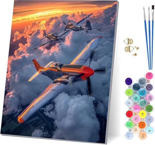 Flugzeug Malen Nach Zahlen Erwachsene Mit Rahmen, Malen Nach Zahlen Sonnenuntergang, DIY Set Erwachsene Mit 3 Pinseln und Acrylfarbe, Paint by Numbers für Deko Wohnzimmer und Wanddeko 70x95cm T-5443 von MAYUPEOU