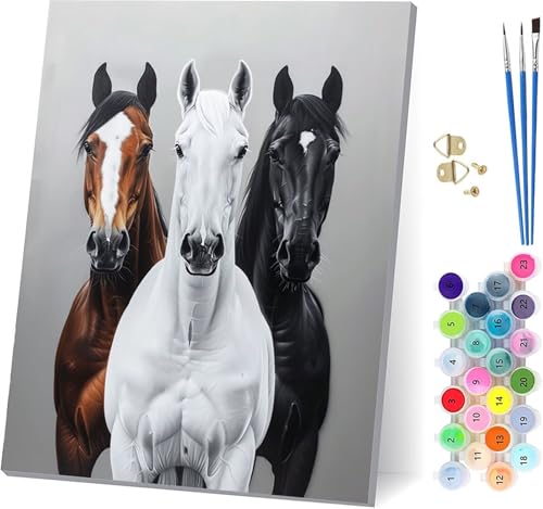 Horse Malen Nach Zahlen Erwachsene Mit Rahmen, Malen Nach Zahlen Tier, DIY Set Erwachsene Mit 3 Pinseln und Acrylfarbe Knitterfreie Leinwand, Paint by Numbers für Deko Wohnzimmer 20x30cm 2-8651 von MAYUPEOU
