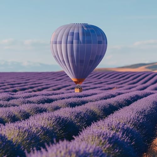 Malen Nach Zahlen Erwachsene Ballon,DIY Malen Nach Zahlen Blume, DIY Basteln Erwachsene Leinwand Kits Mit Pinseln und Acrylfarbe, Paint by Numbers Kits für Anfänger, Deko Wohnzimmer, 70x70cm Y-4867 Malen Nach Zahlen Erwachsene Ballon,DIY Malen Nach Zahlen Blume, DIY Basteln Erwachsene Leinwand Kits Mit Pinseln und Acrylfarbe, Paint by Numbers Kits für Anfänger, Deko Wohnzimmer, 70x70cm Y-4867 von MAYUPEOU