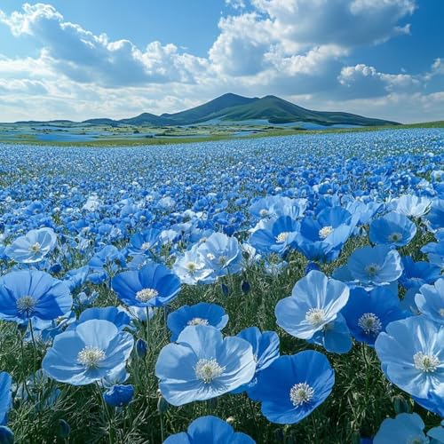 Malen Nach Zahlen Erwachsene Blume, Malen Nach Zahlen für Zimmer Deko, Landschaft DIY Basteln Erwachsene Leinwand Kits, DIY Paint by Numbers Kits Mit Pinseln und Acrylfarbe, Geschenke, 45x45cm N-7509 Malen Nach Zahlen Erwachsene Blume, Malen Nach Zahlen für Zimmer Deko, Landschaft DIY Basteln Erwachsene Leinwand Kits, DIY Paint by Numbers Kits Mit Pinseln und Acrylfarbe, Geschenke, 45x45cm N-7509 von MAYUPEOU