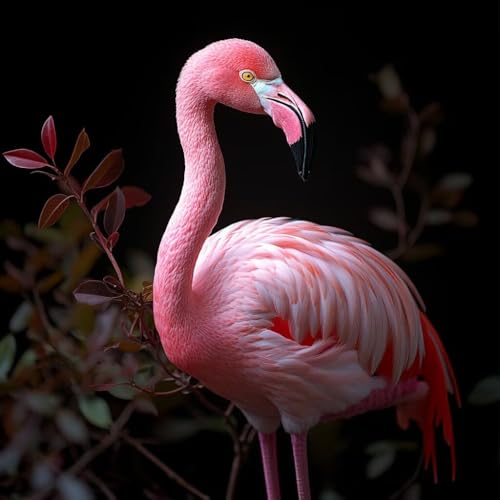 Malen Nach Zahlen Erwachsene Flamingo,DIY Malen Nach Zahlen Pflanzen, DIY Basteln Erwachsene Leinwand Kits Mit Pinseln und Acrylfarbe, Paint by Numbers Kits für Anfänger, Dekoration, 60x60cm 4-3223 Malen Nach Zahlen Erwachsene Flamingo,DIY Malen Nach Zahlen Pflanzen, DIY Basteln Erwachsene Leinwand Kits Mit Pinseln und Acrylfarbe, Paint by Numbers Kits für Anfänger, Dekoration, 60x60cm 4-3223 von MAYUPEOU