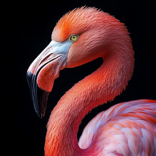 Malen Nach Zahlen Erwachsene Flamingo,DIY Malen Nach Zahlen Tier, DIY Basteln Erwachsene Leinwand Kits Mit Pinseln und Acrylfarbe, Paint by Numbers Kits für Anfänger, Deko Wohnzimmer, 60x60cm C-9432 Malen Nach Zahlen Erwachsene Flamingo,DIY Malen Nach Zahlen Tier, DIY Basteln Erwachsene Leinwand Kits Mit Pinseln und Acrylfarbe, Paint by Numbers Kits für Anfänger, Deko Wohnzimmer, 60x60cm C-9432 von MAYUPEOU
