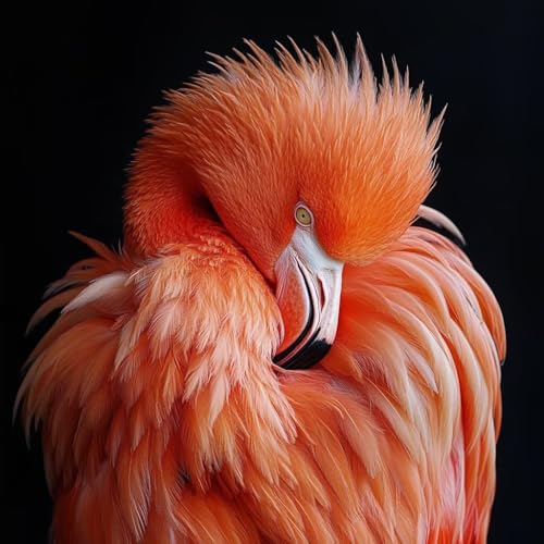 Malen Nach Zahlen Erwachsene Tier,DIY Malen Nach Zahlen Flamingo, DIY Basteln Erwachsene Leinwand Kits Mit Pinseln und Acrylfarbe, Paint by Numbers Kits für Anfänger, Deko Wohnzimmer, 100x100cm 3-5888 Malen Nach Zahlen Erwachsene Tier,DIY Malen Nach Zahlen Flamingo, DIY Basteln Erwachsene Leinwand Kits Mit Pinseln und Acrylfarbe, Paint by Numbers Kits für Anfänger, Deko Wohnzimmer, 100x100cm 3-5888 von MAYUPEOU