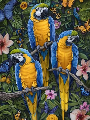 Malen Nach Zahlen Erwachsene Vogel, Schmetterling Malen Nach Zahlen Kinder, Paint by Numbers DIY Set Erwachsene, Handgemalt Ölgemälde Kit mit 3 Pinseln und Acrylfarbe, Wanddeko, (30x40cm) U-1538 von MAYUPEOU