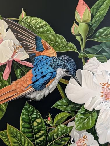 Malen Nach Zahlen Erwachsene Vogel Malen Nach Zahlen, Blume Paint by Numbers Adult, DIY Handgemalt Ölgemälde Kit mit 3 Pinseln und Acrylfarbe, Knitterfreie Leinwand, Deko Wohnzimmer, (50x65cm) 1-2104 von MAYUPEOU