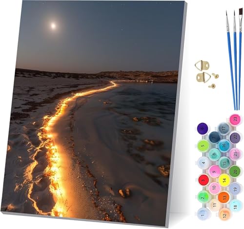 Strand Malen Nach Zahlen Erwachsene Mit Rahmen, Malen Nach Zahlen Landschaft, DIY Set Erwachsene Mit 3 Pinseln und Acrylfarbe Knitterfreie Leinwand, Paint by Numbers für Deko Wohnzimmer 70x95cm I-4380 von MAYUPEOU