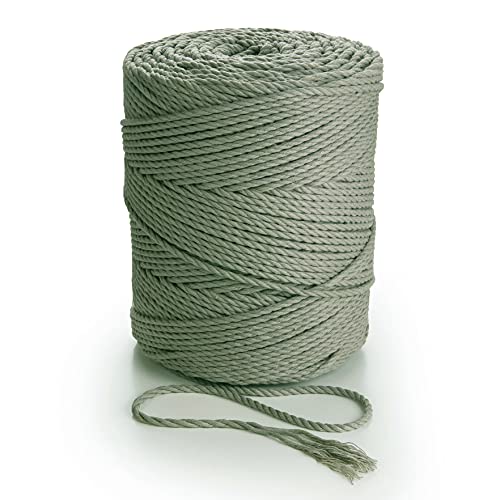 MB Cordas Macrame Kordel 3mm * 260 m - 3PLY gefärbtes Baumwollseil für Makramee Traumfänger, Wandbehang Feder, Pflanzenaufhänger und Geschenkverpackungen MB Cordas Macrame Kordel 3mm * 260 m - 3PLY gefärbtes Baumwollseil für Makramee Traumfänger, Wandbehang Feder, Pflanzenaufhänger und Geschenkverpackungen von MB Cordas