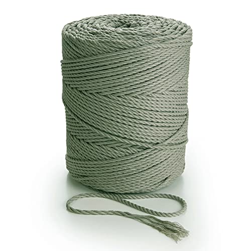 MB Cordas Macrame Kordel 3mm * 260 m - 3PLY gefärbtes Baumwollseil für Makramee Traumfänger, Wandbehang Feder, Pflanzenaufhänger und Geschenkverpackungen von MB Cordas