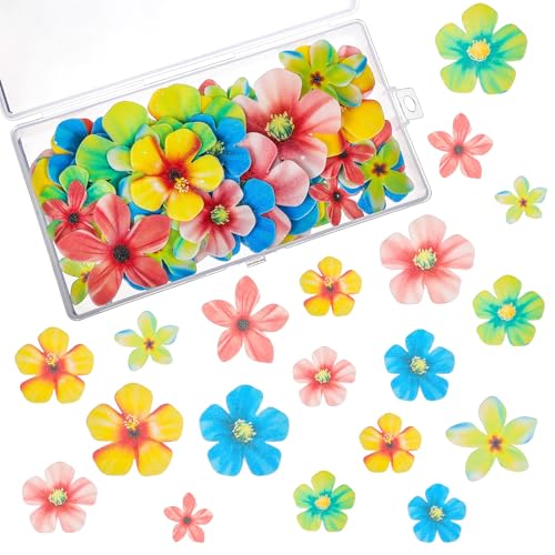 MBAIYO 70 Stück Essbare Blüten Tortendeko,Kirschblüten Cupcake Deko Blumen Deko Bunt Essbare Blüten Cupcake Schmuck Für Hochzeit Jahrestag Hochzeit Geburtstag Party Kuchen Dekorationen MBAIYO 70 Stück Essbare Blüten Tortendeko,Kirschblüten Cupcake Deko Blumen Deko Bunt Essbare Blüten Cupcake Schmuck Für Hochzeit Jahrestag Hochzeit Geburtstag Party Kuchen Dekorationen von MBAIYO