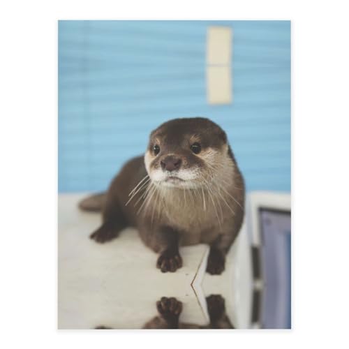 Niedlicher Otter-Druck, niedliche Kristall-Aufkleber, Harz-Aufkleber für Wasserflasche, Sammelalbum, Laptop, Handyhülle, Geschenk für Erwachsene Niedlicher Otter-Druck, niedliche Kristall-Aufkleber, Harz-Aufkleber für Wasserflasche, Sammelalbum, Laptop, Handyhülle, Geschenk für Erwachsene von MDATT